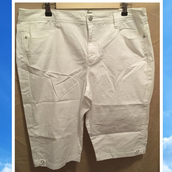bandolino capri pants